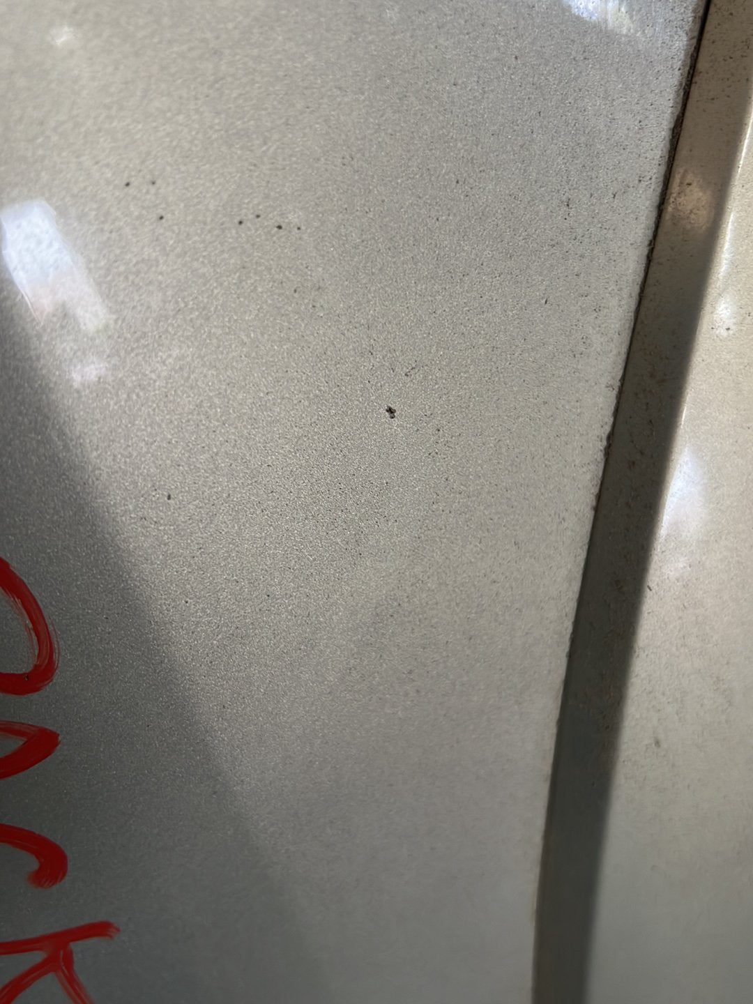 2005 Subaru Outback Right Front Guard