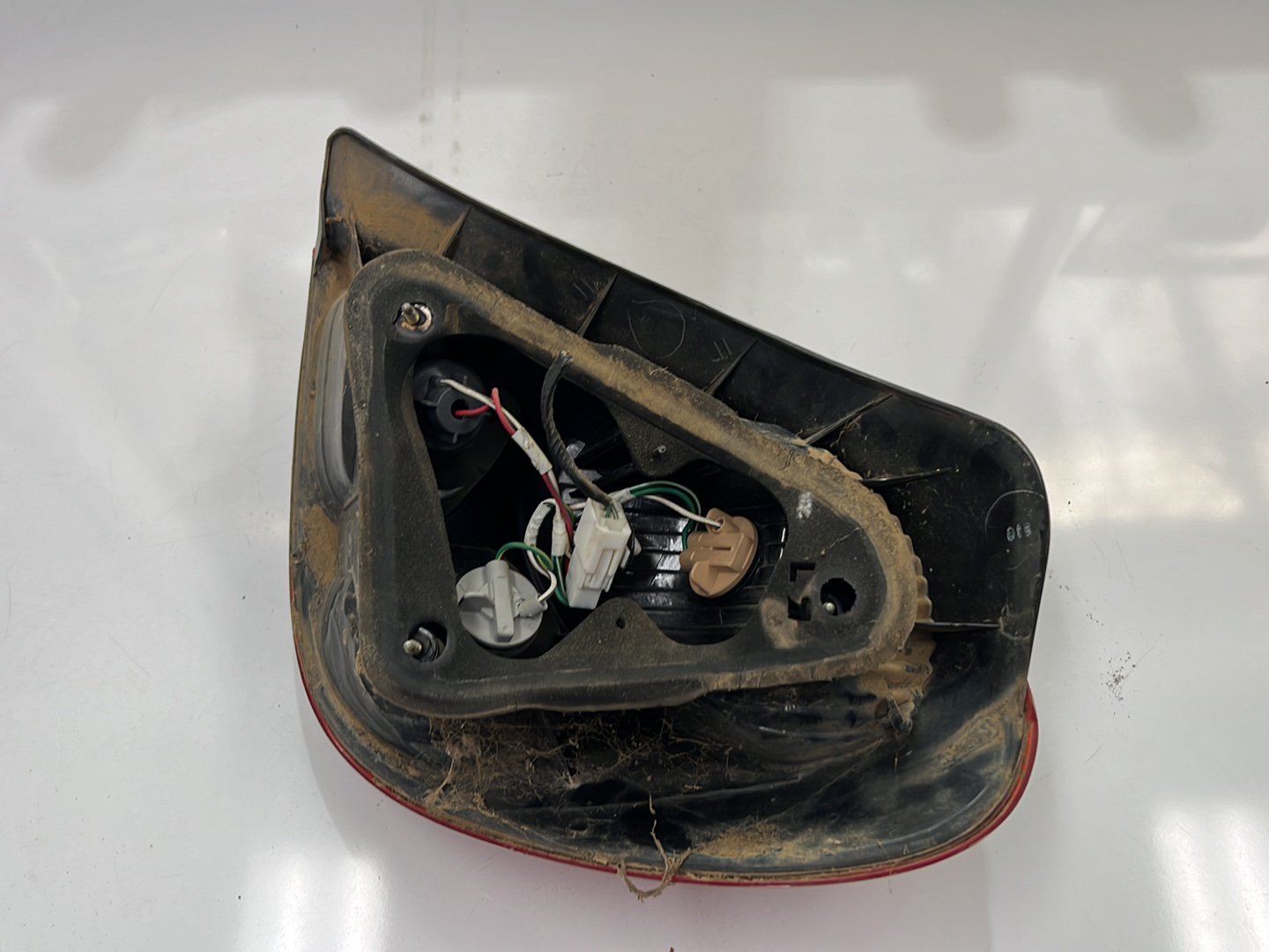 2000 Toyota Corolla - Left Taillight